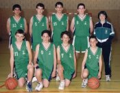 Ampliar y ver plantilla